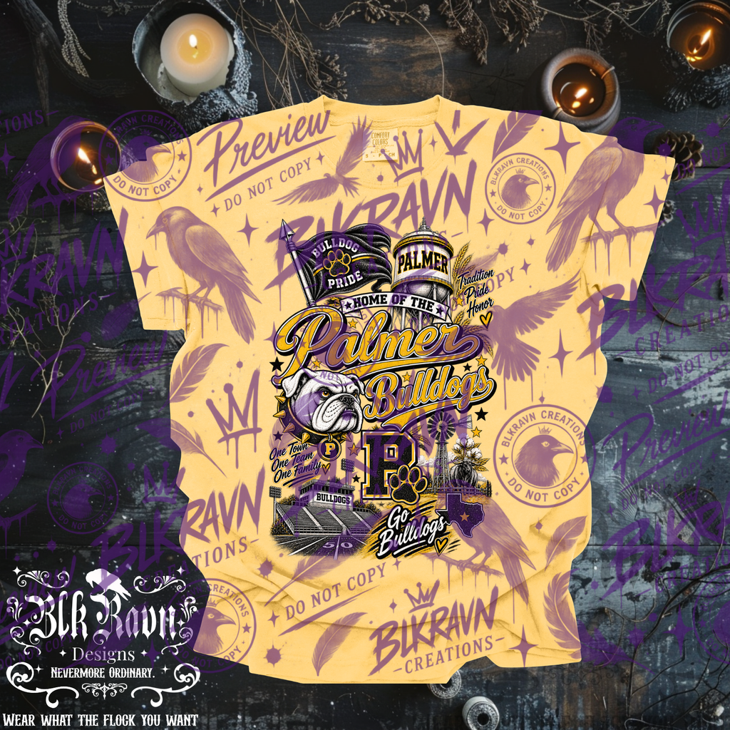 Palmer Bulldogs Spirit T